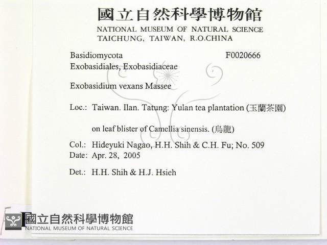 登錄號:F0020666藏品圖，第2張