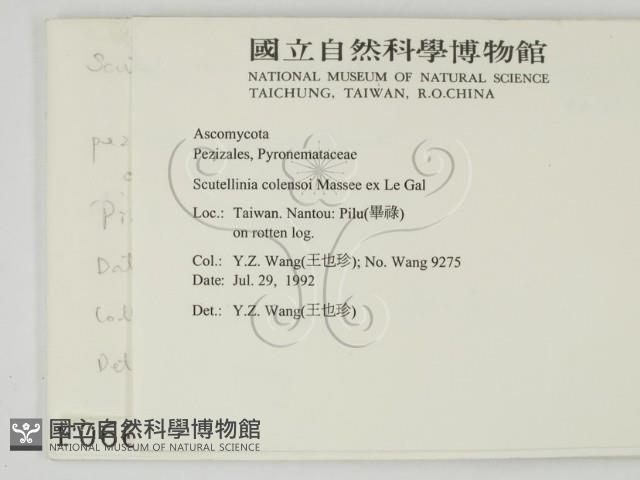 登錄號:F0000666藏品圖，第2張