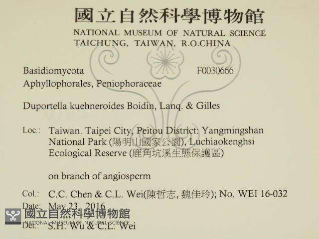 登錄號:F0030666藏品圖，第2張