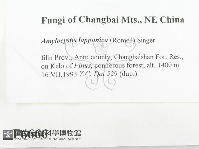 登錄號:F0006666藏品圖，第2張