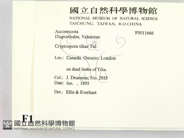 登錄號:F0011666藏品圖，第2張