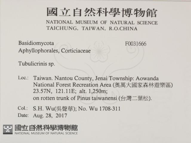 登錄號:F0031666藏品圖，第2張