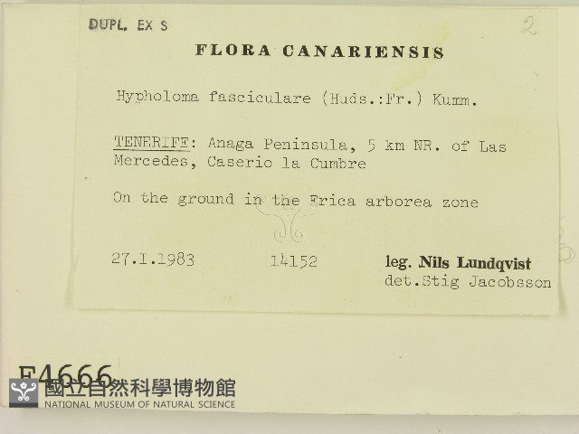 登錄號:F0004666藏品圖，第2張