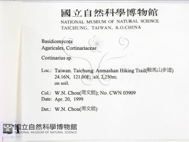登錄號:F0012666藏品圖，第2張