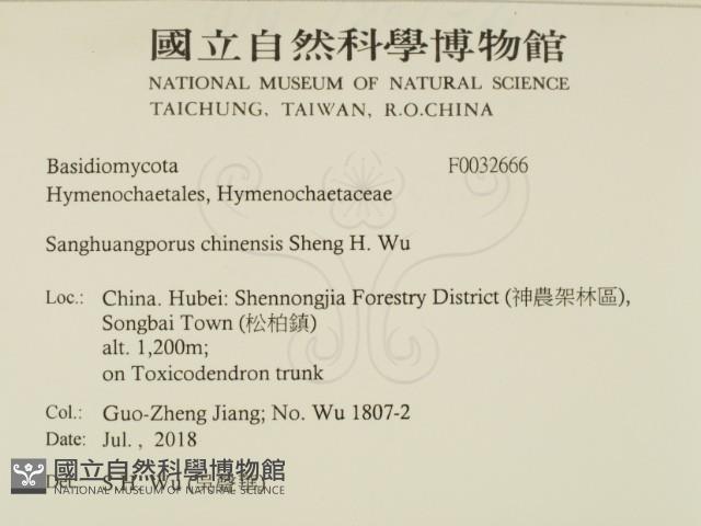 漆屬桑黃藏品圖，第2張
