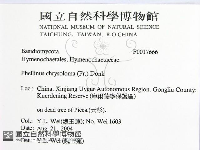登錄號:F0017666藏品圖，第2張