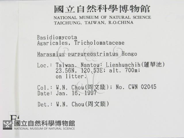 登錄號:F0005666藏品圖，第2張