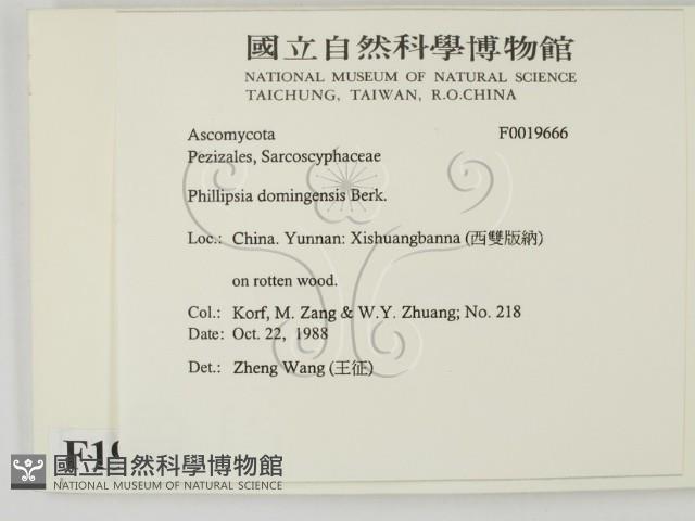 登錄號:F0019666藏品圖，第2張