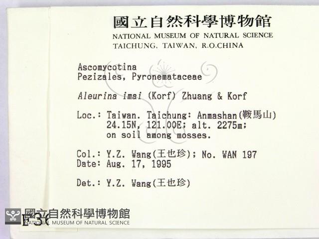 登錄號:F0003666藏品圖，第2張