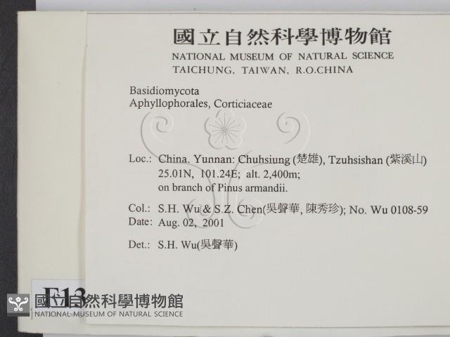 登錄號:F0013666藏品圖，第2張