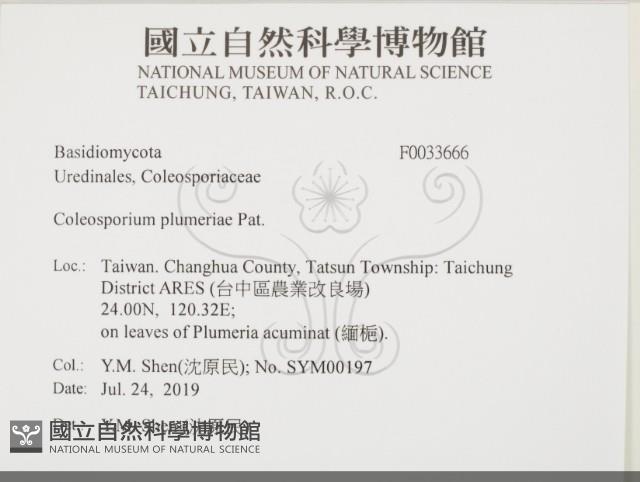 登錄號:F0033666藏品圖，第2張