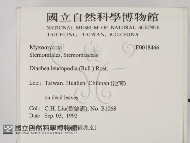 登錄號:F0018466藏品圖，第2張