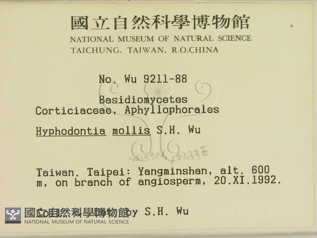 登錄號:F0000466藏品圖，第2張