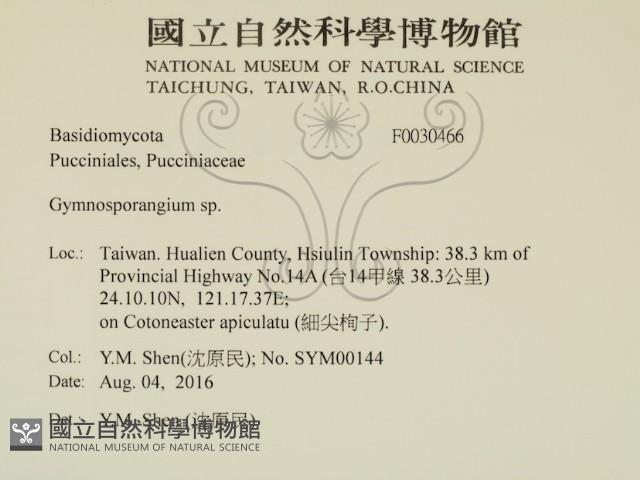 登錄號:F0030466藏品圖，第2張