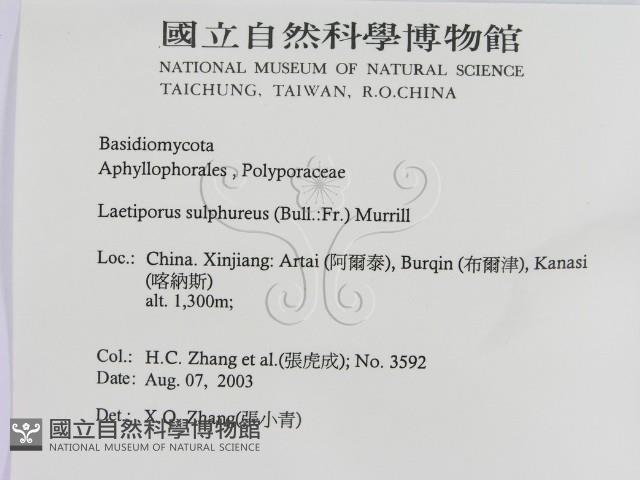 登錄號:F0016466藏品圖，第2張