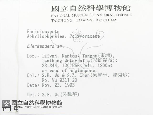 登錄號:F0001466藏品圖，第2張