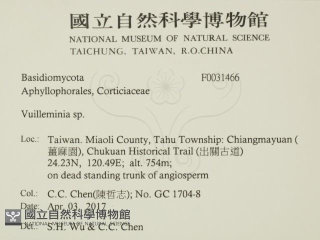 登錄號:F0031466藏品圖，第2張