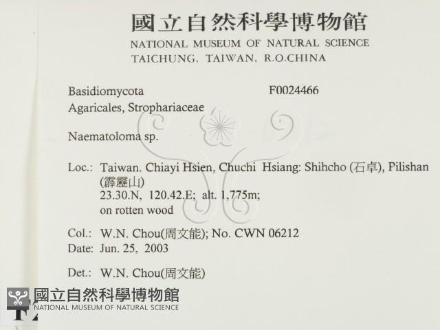 登錄號:F0024466藏品圖，第2張