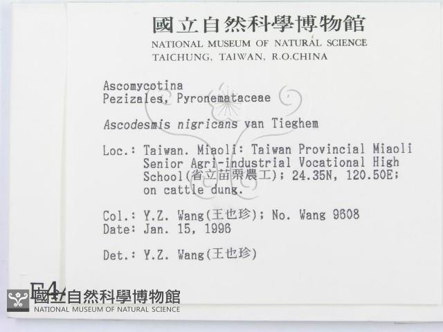 登錄號:F0004466藏品圖，第2張