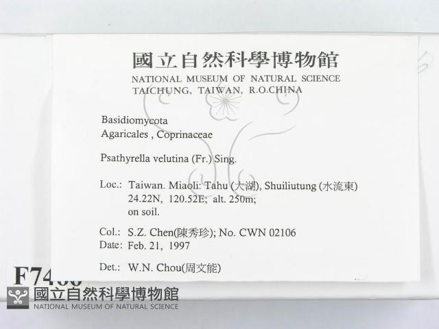 登錄號:F0007466藏品圖，第2張