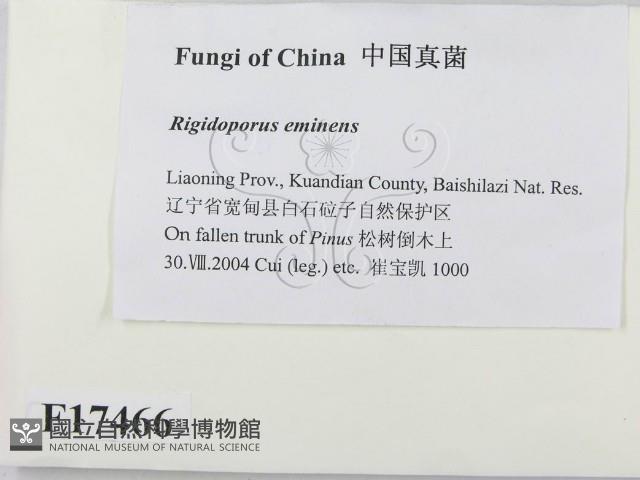 登錄號:F0017466藏品圖，第2張