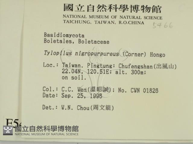 登錄號:F0005466藏品圖，第2張