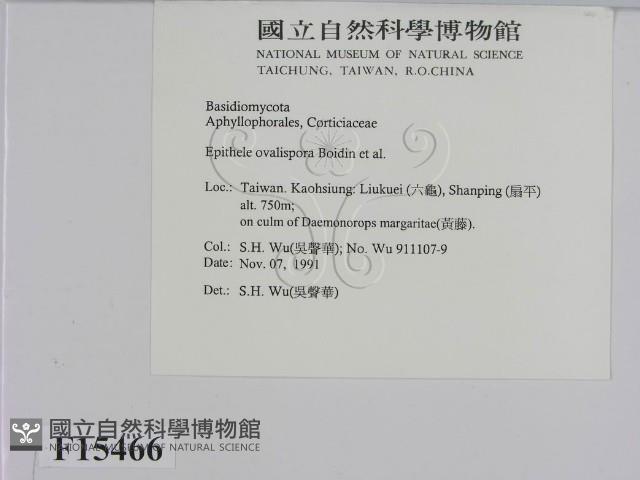 登錄號:F0015466藏品圖，第2張