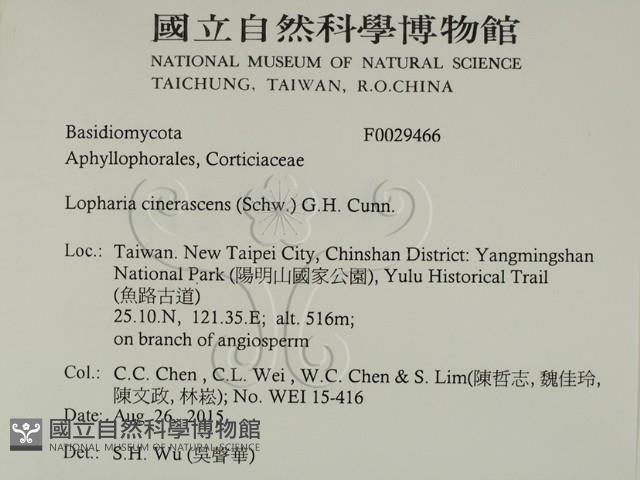 登錄號:F0029466藏品圖，第2張