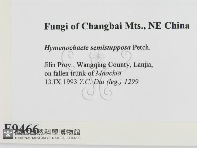 登錄號:F0009466藏品圖，第2張