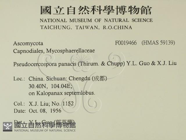 登錄號:F0019466藏品圖，第2張