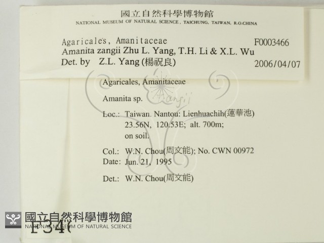 登錄號:F0003466藏品圖，第2張