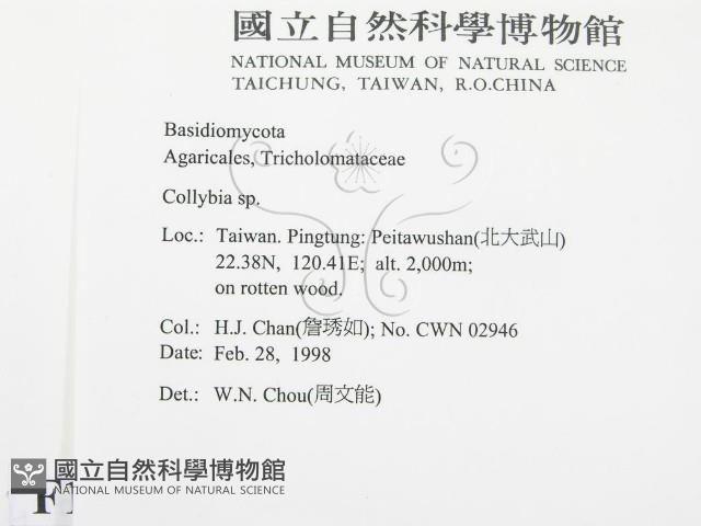 登錄號:F0010766藏品圖，第2張