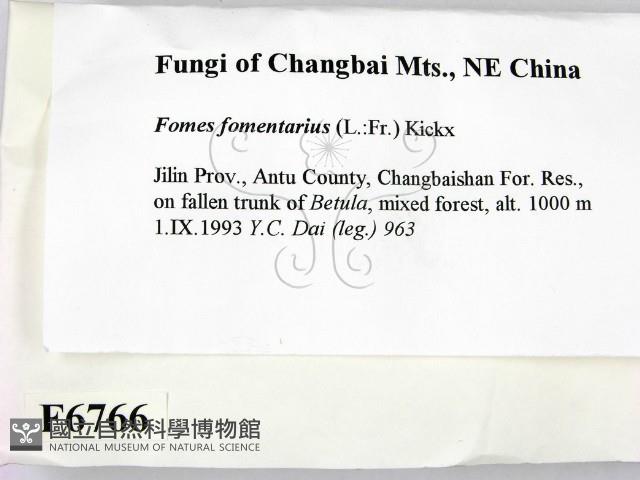 登錄號:F0006766藏品圖，第2張