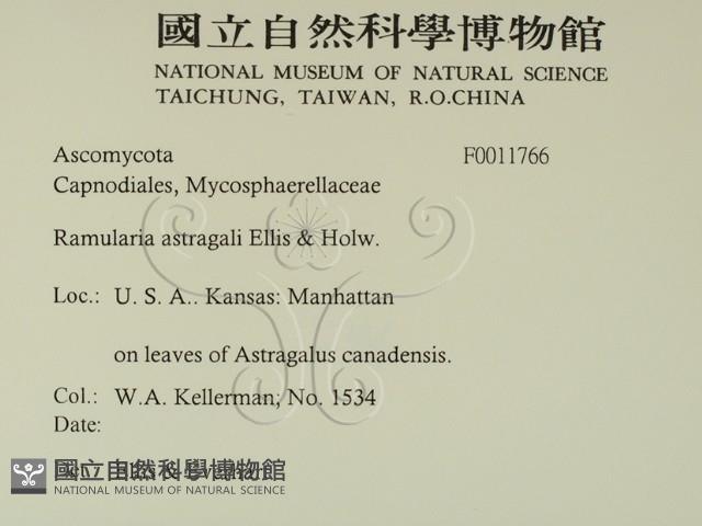 登錄號:F0011766藏品圖，第2張