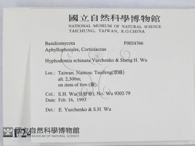 登錄號:F0024766藏品圖，第2張