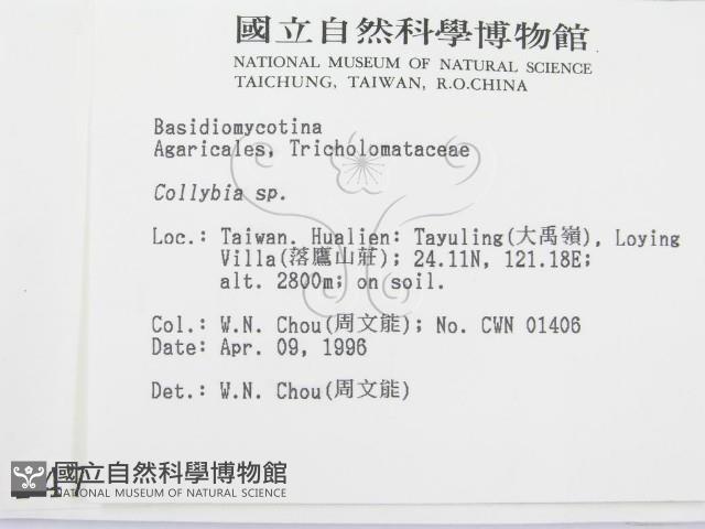 登錄號:F0004766藏品圖，第2張