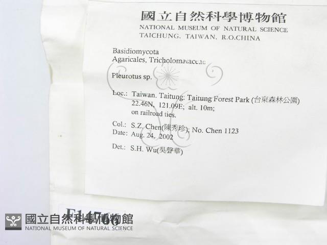 登錄號:F0014766藏品圖，第2張