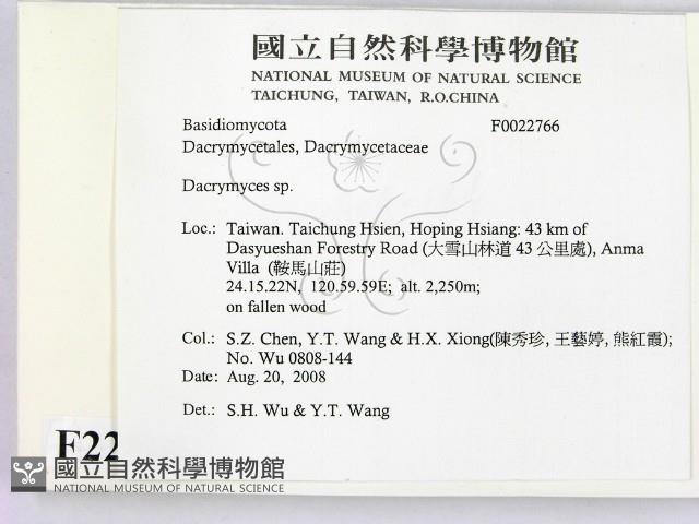 花耳屬藏品圖，第2張