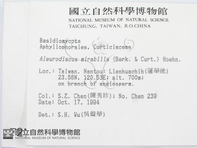 登錄號:F0002766藏品圖，第2張