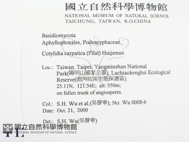 登錄號:F0012766藏品圖，第2張