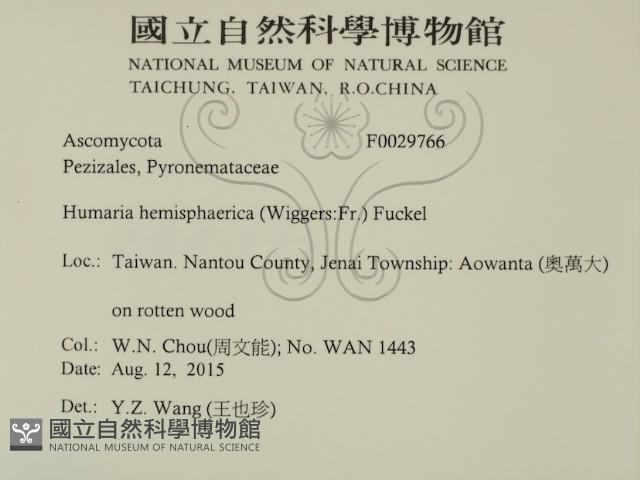 登錄號:F0029766藏品圖，第2張