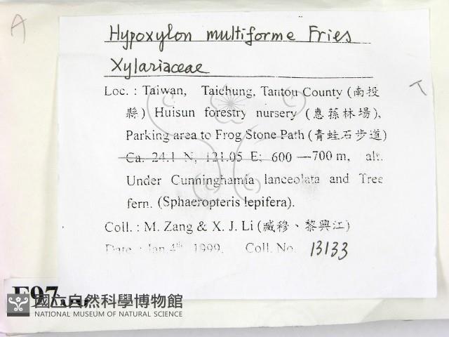 登錄號:F0009766藏品圖，第2張