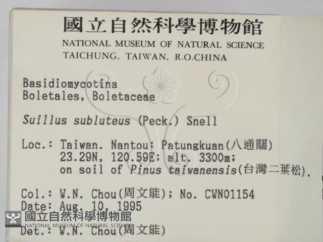 登錄號:F0003766藏品圖，第2張
