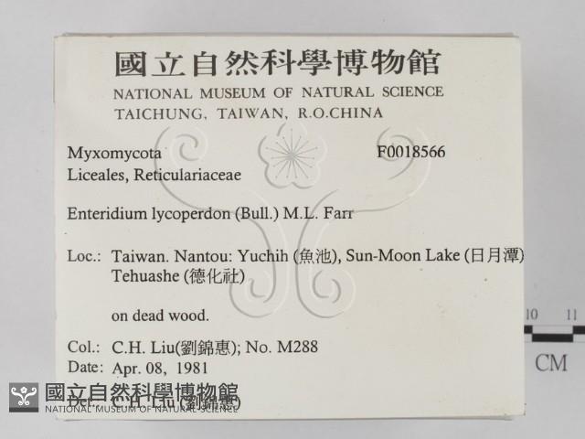 登錄號:F0018566藏品圖，第2張