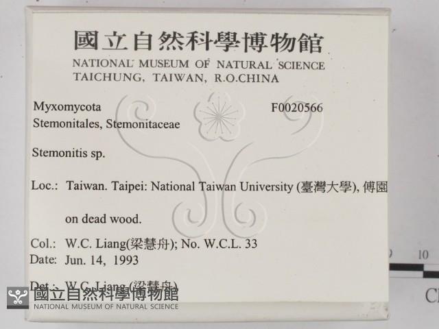 登錄號:F0020566藏品圖，第2張