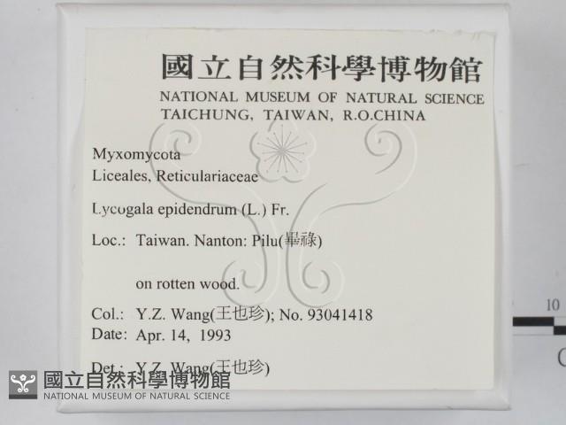 登錄號:F0000566藏品圖，第2張