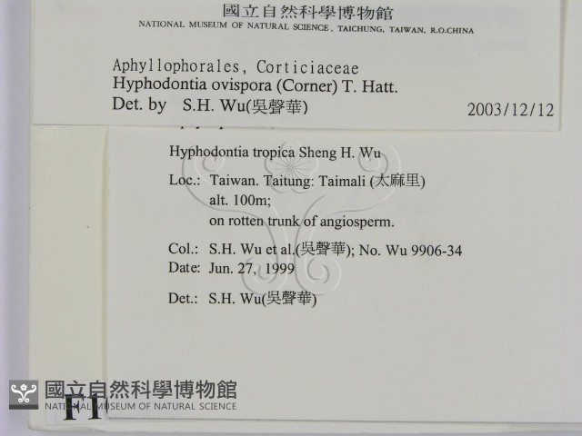 登錄號:F0010566藏品圖，第2張