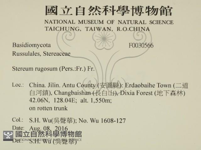 登錄號:F0030566藏品圖，第2張