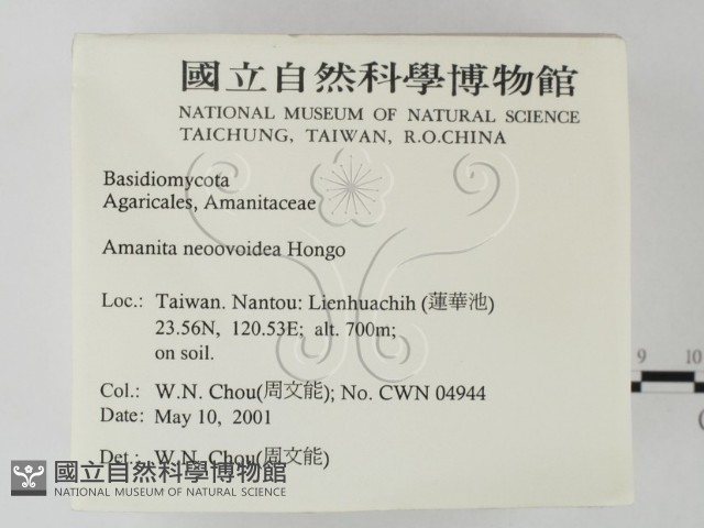 登錄號:F0014566藏品圖，第2張
