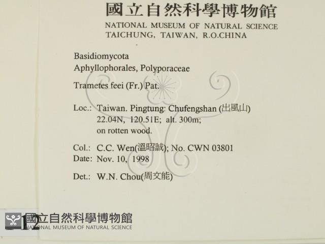 登錄號:F0012566藏品圖，第2張